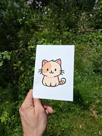 Image 4 of Non-Floral Folding Cards