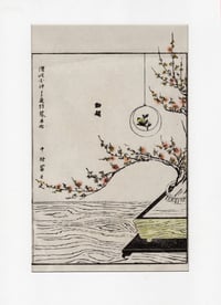  Ikebana 16