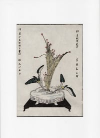  Ikebana 17