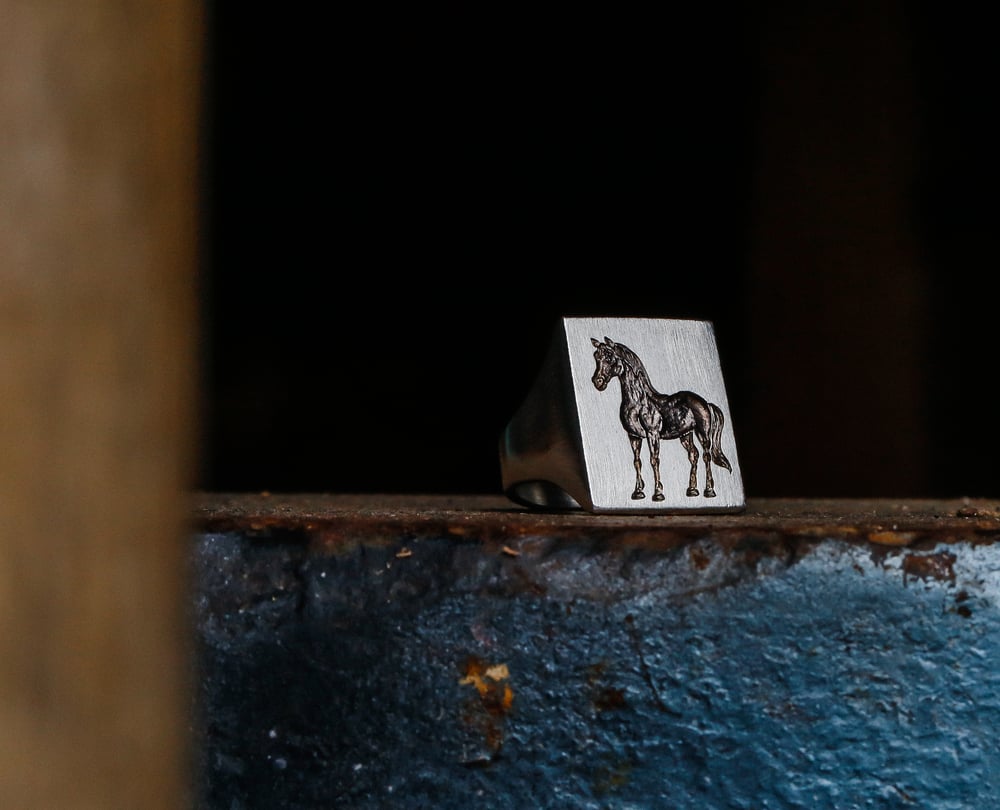 Image of Dark Horse Signet 