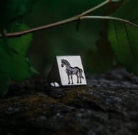 Image 4 of Dark Horse Signet 