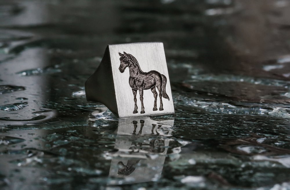 Image of Dark Horse Signet 