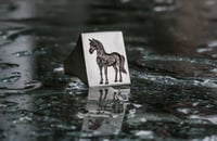 Image 6 of Dark Horse Signet 