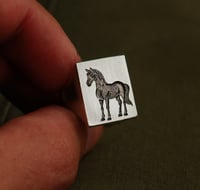 Image 1 of Dark Horse Signet 