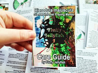 Image 4 of Mini-Zine: Hierodula majuscula Care Guide