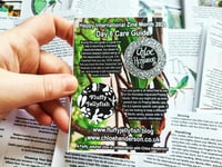 Image 3 of Mini-Zine: Hierodula majuscula Care Guide