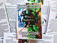 Image 1 of Mini-Zine: Hierodula majuscula Care Guide