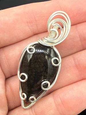 Texas Black Plume Agate