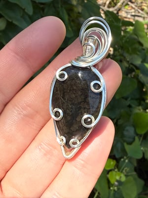 Texas Black Plume Agate