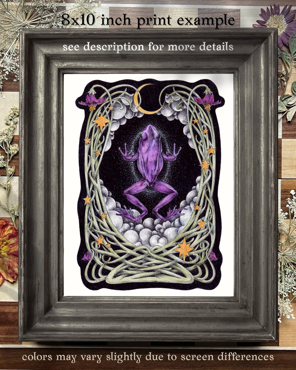 Image of The Frog Realm