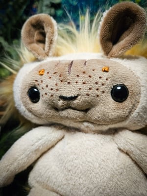Lil' Hedgehog!
