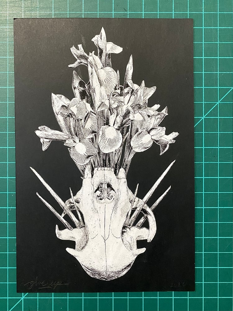 Image of 'speaking lillies' original collage