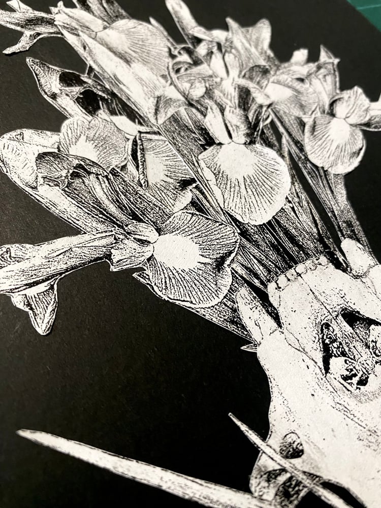 Image of 'speaking lillies' original collage