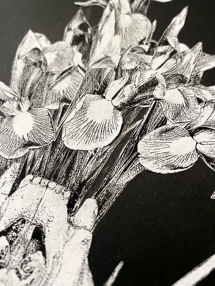 Image of 'speaking lillies' original collage