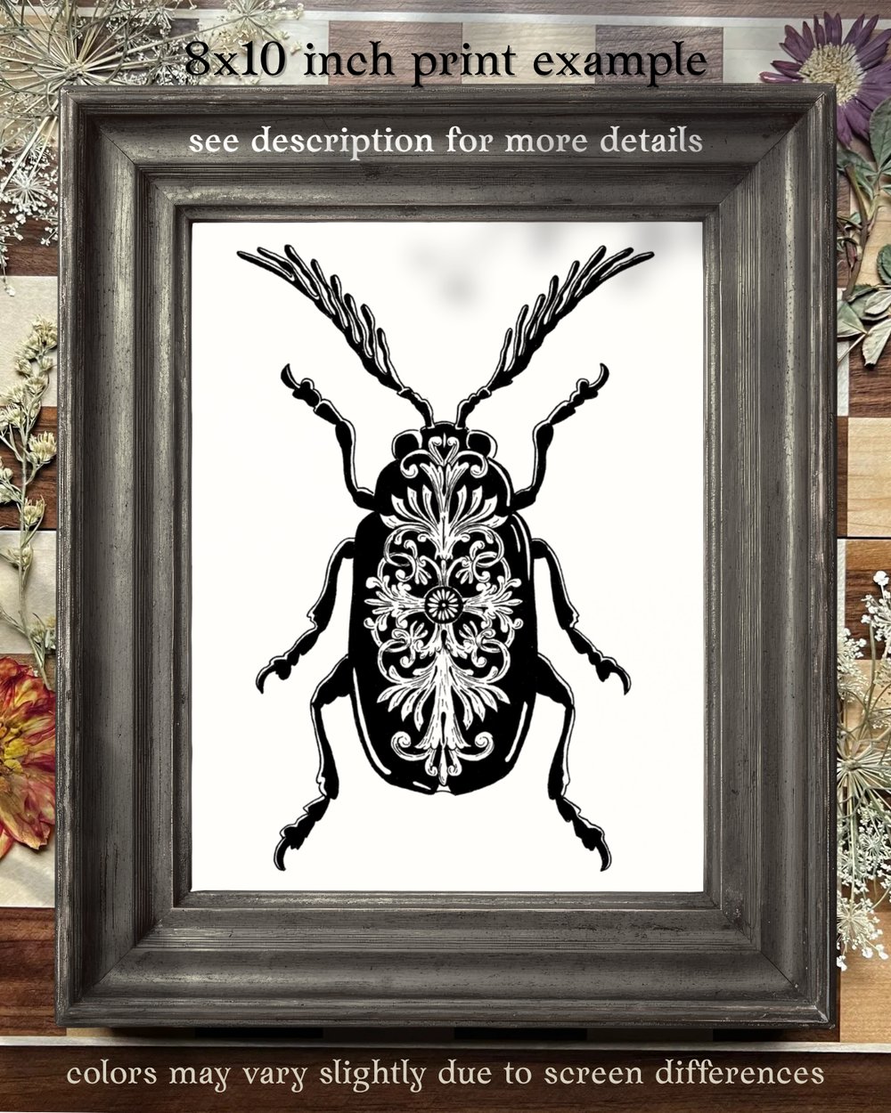 Image of Ornate Beetle