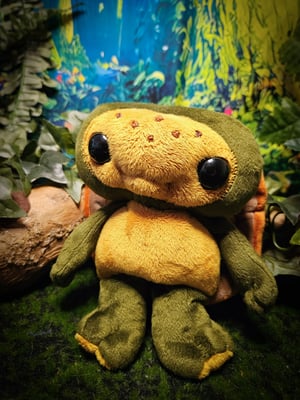 ☆Lil' Turtle!☆