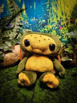 ☆Lil' Turtle!☆