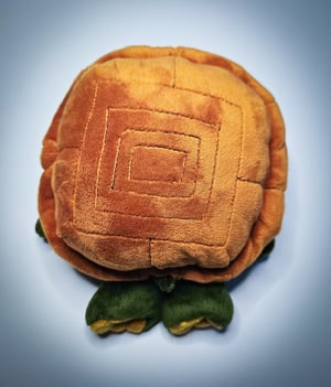 ☆Lil' Turtle!☆