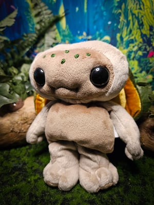 ♡Lil' Turtle!♡