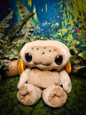 ♡Lil' Turtle!♡