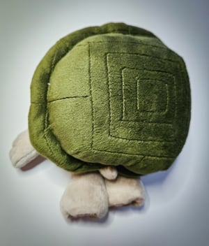 ♡Lil' Turtle!♡