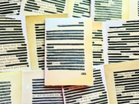 Image 1 of Mini-Zine: Hidden