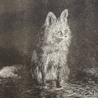 Image 3 of Pensive Fox Print (Limited Edition)