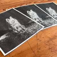 Image 4 of Pensive Fox Print (Limited Edition)
