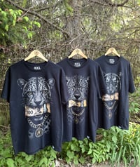 Image 1 of PL Apex Collection Tees
