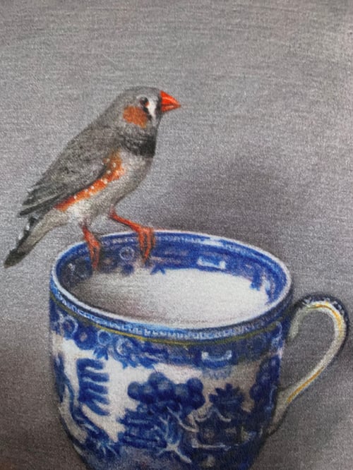 Image of Velvet Zebra Finch Cushion