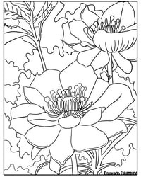 Image 2 of Floral/Flower Coloring Sheets (Series 1)
