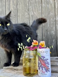 Image 6 of MIDSOMMAR FARM DINNER