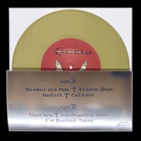 Image 4 of CASTILLO - 'Pleasure And Pain' 12" MLP (LIMITED EUROPEAN TOUR VERSION)