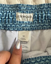 Image 3 of Crewcuts Blue Geometric Swim Trunks -12