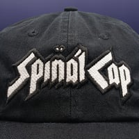 Image 3 of Spinal Cap