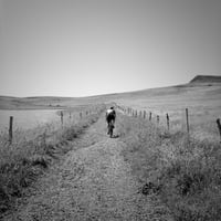 Image 5 of Cartel Gravel Loop 2026