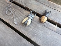 Image 9 of Rhinoceros Beetle