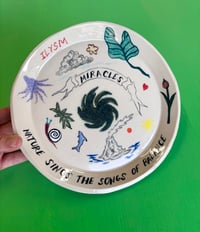 Image 1 of Miracles - 9 in plate