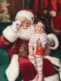 Image 1 of 2026 Santa mini session 