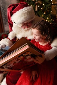 Image 3 of 2026 Santa mini session 