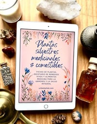 Image 1 of EBOOK PLANTAS Y ÁRBOLES SILVESTRES MEDICINALES Y COMESTIBLES 