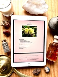 Image 3 of EBOOK PLANTAS Y ÁRBOLES SILVESTRES MEDICINALES Y COMESTIBLES 