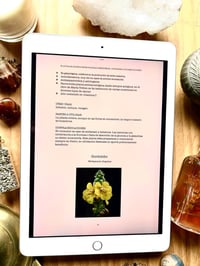 Image 2 of EBOOK PLANTAS Y ÁRBOLES SILVESTRES MEDICINALES Y COMESTIBLES 