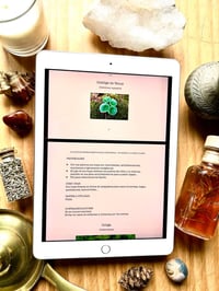Image 5 of EBOOK PLANTAS Y ÁRBOLES SILVESTRES MEDICINALES Y COMESTIBLES 