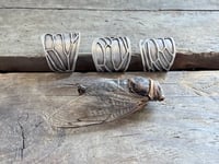 Image 1 of Cicada wing ring, size 6-6.5