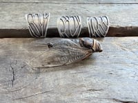 Image 10 of Cicada wing ring, size 6-6.5