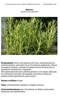 Image 2 of EBOOK COSMÉTICA NATURAL 