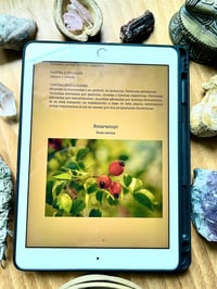 Image 2 of EBOOK BOTIQUÍN DE INVIERNO 