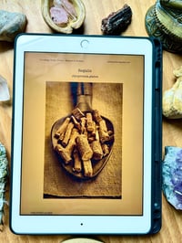 Image 3 of EBOOK BOTIQUÍN DE INVIERNO 