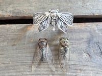 Image 2 of Cicada Cuff